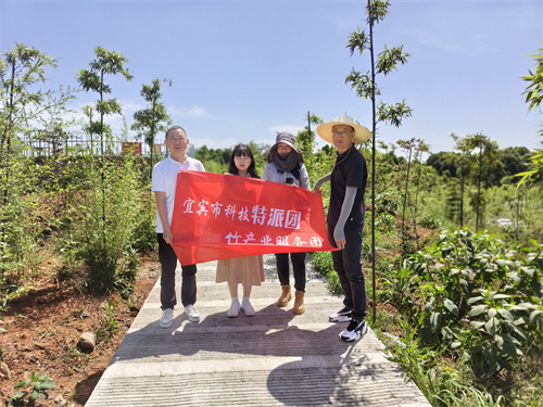 国家技术转移西南中心川南分中心