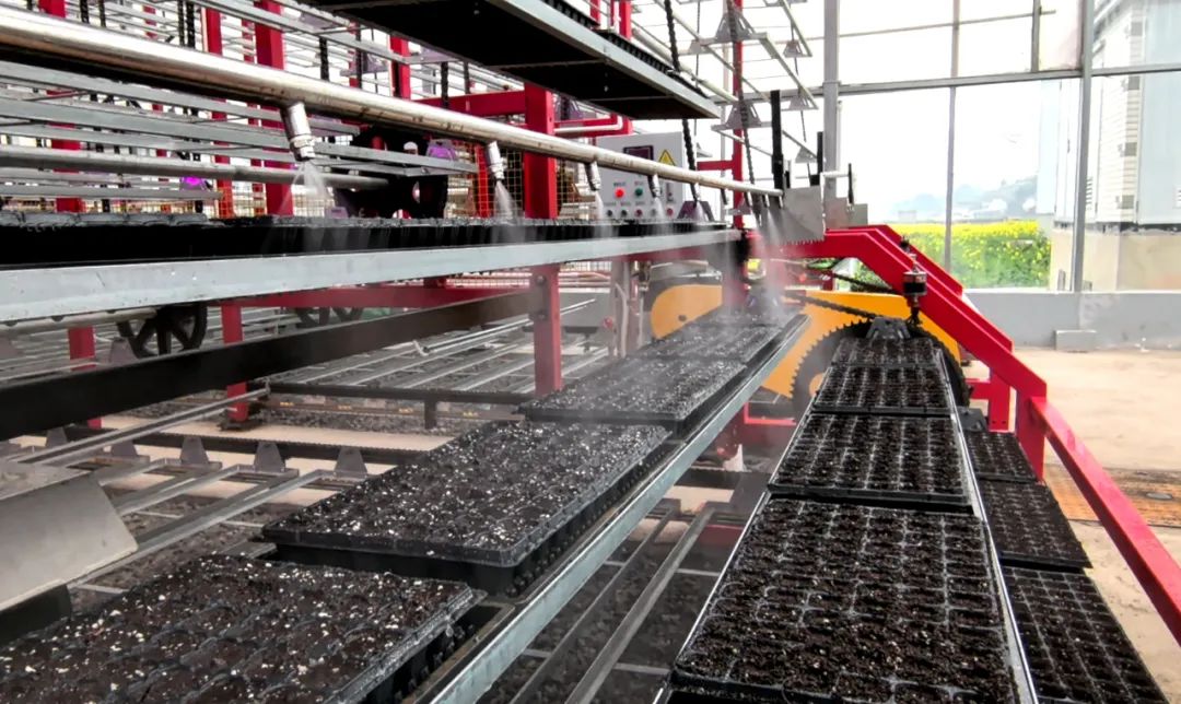 国家技术转移西南中心川南分中心