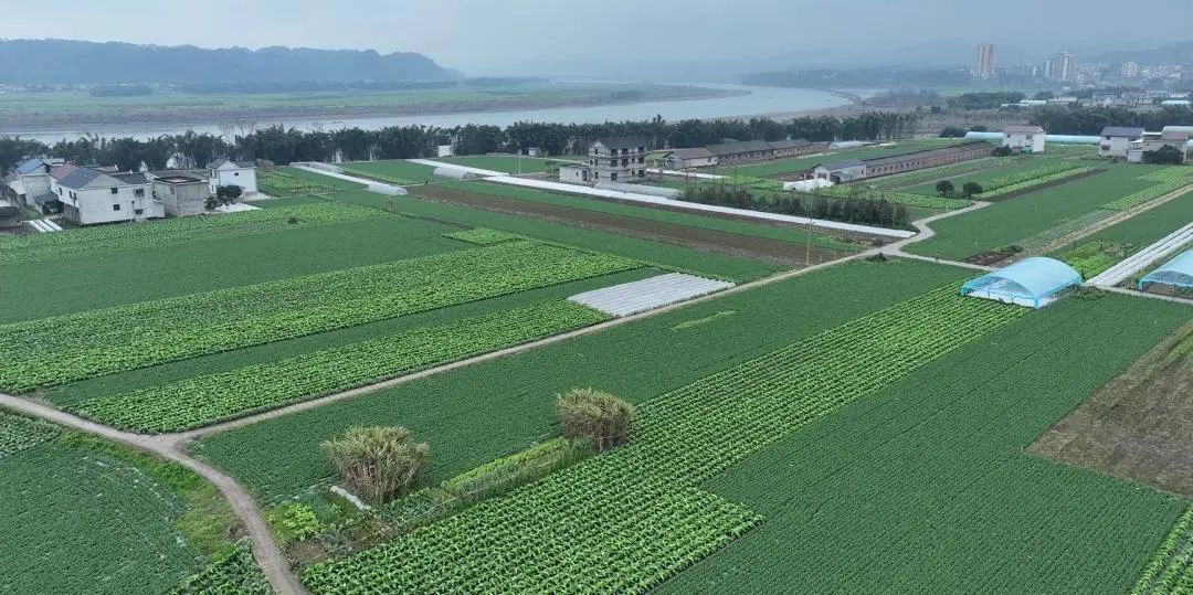 国家技术转移西南中心川南分中心