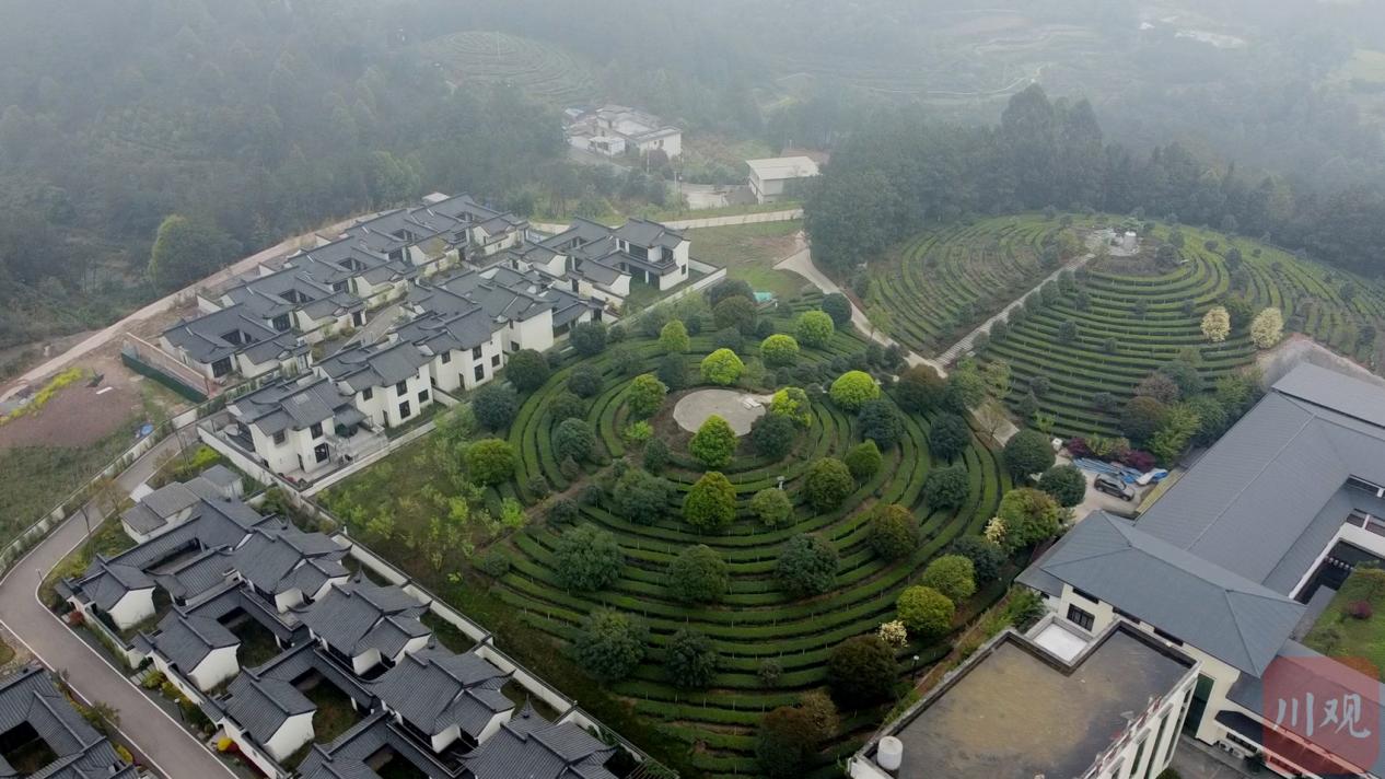 国家技术转移西南中心川南分中心