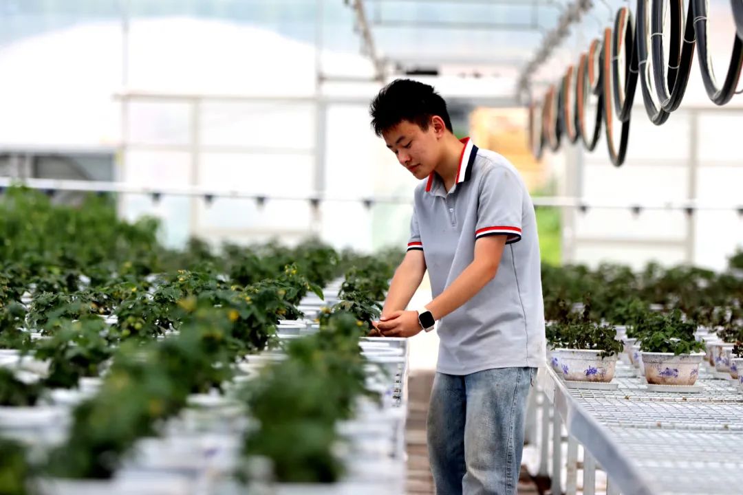 W020250611591856689669.jpg W020250611591856689669.jpg