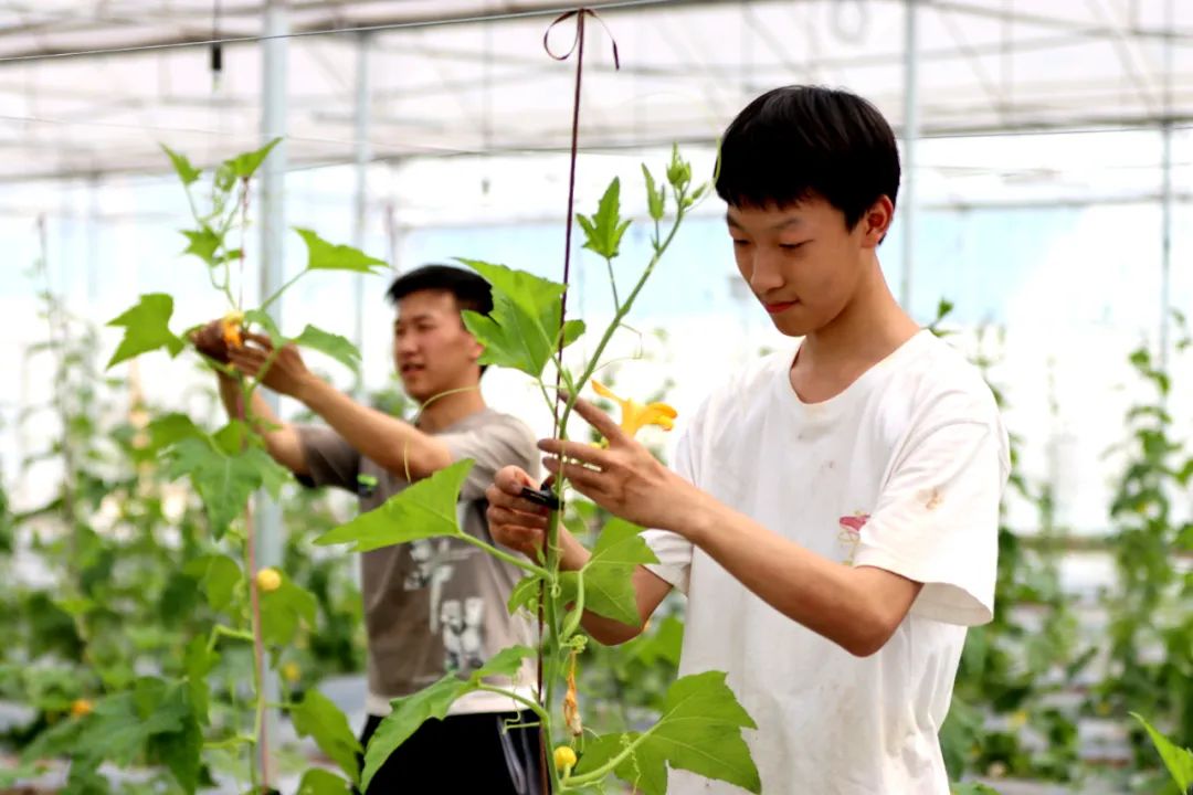 W020250611591856811397.jpg W020250611591856811397.jpg