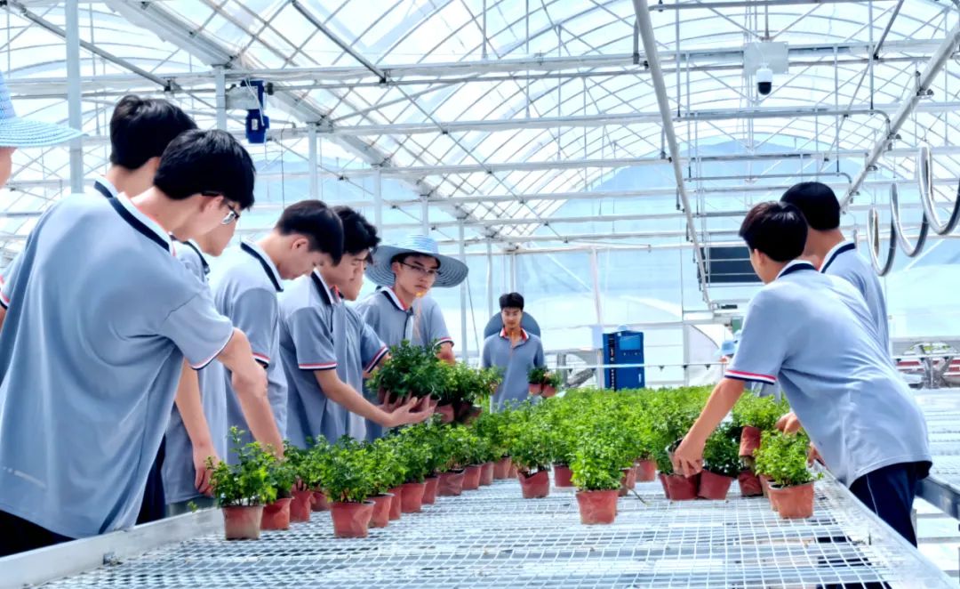 W020250611591856941836.jpg W020250611591856941836.jpg