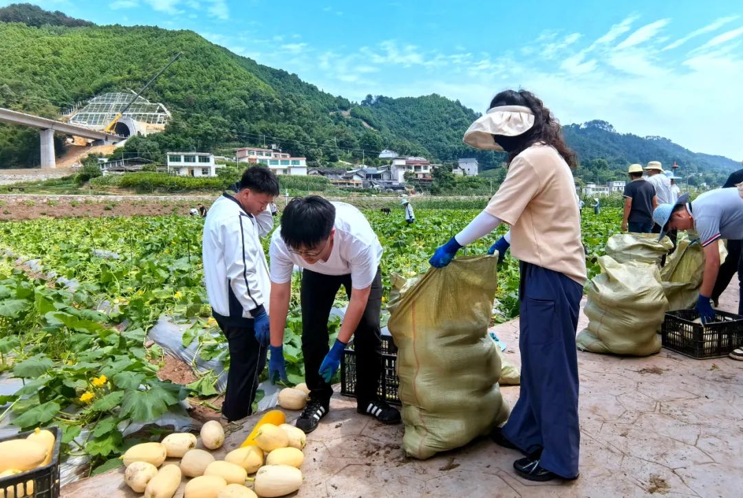 W020250611591857118685.jpg W020250611591857118685.jpg