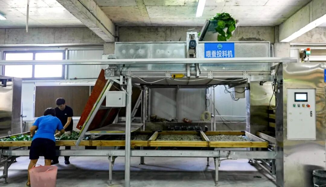 国家技术转移西南中心川南分中心