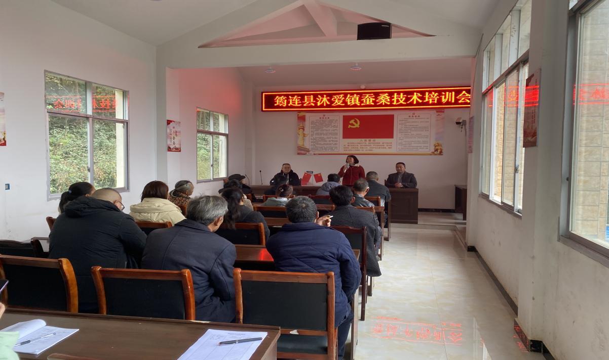 W020251226632329348597_ORIGIN.jpg W020251226632329348597_ORIGIN.jpg