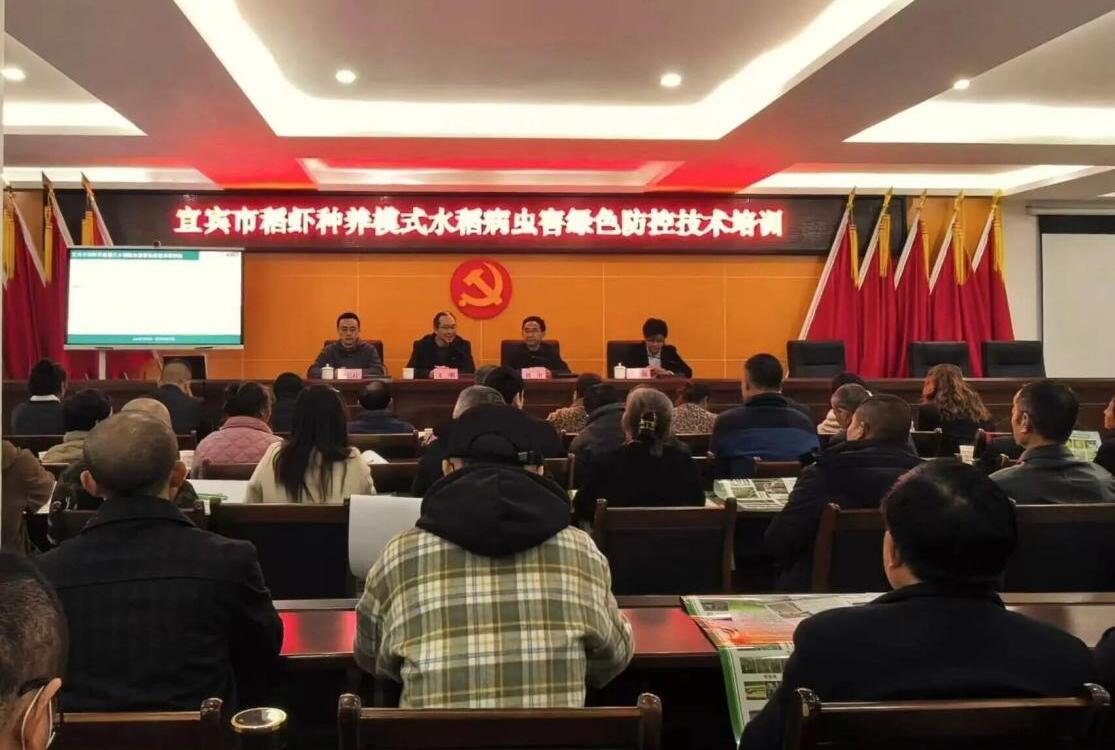 国家技术转移西南中心川南分中心